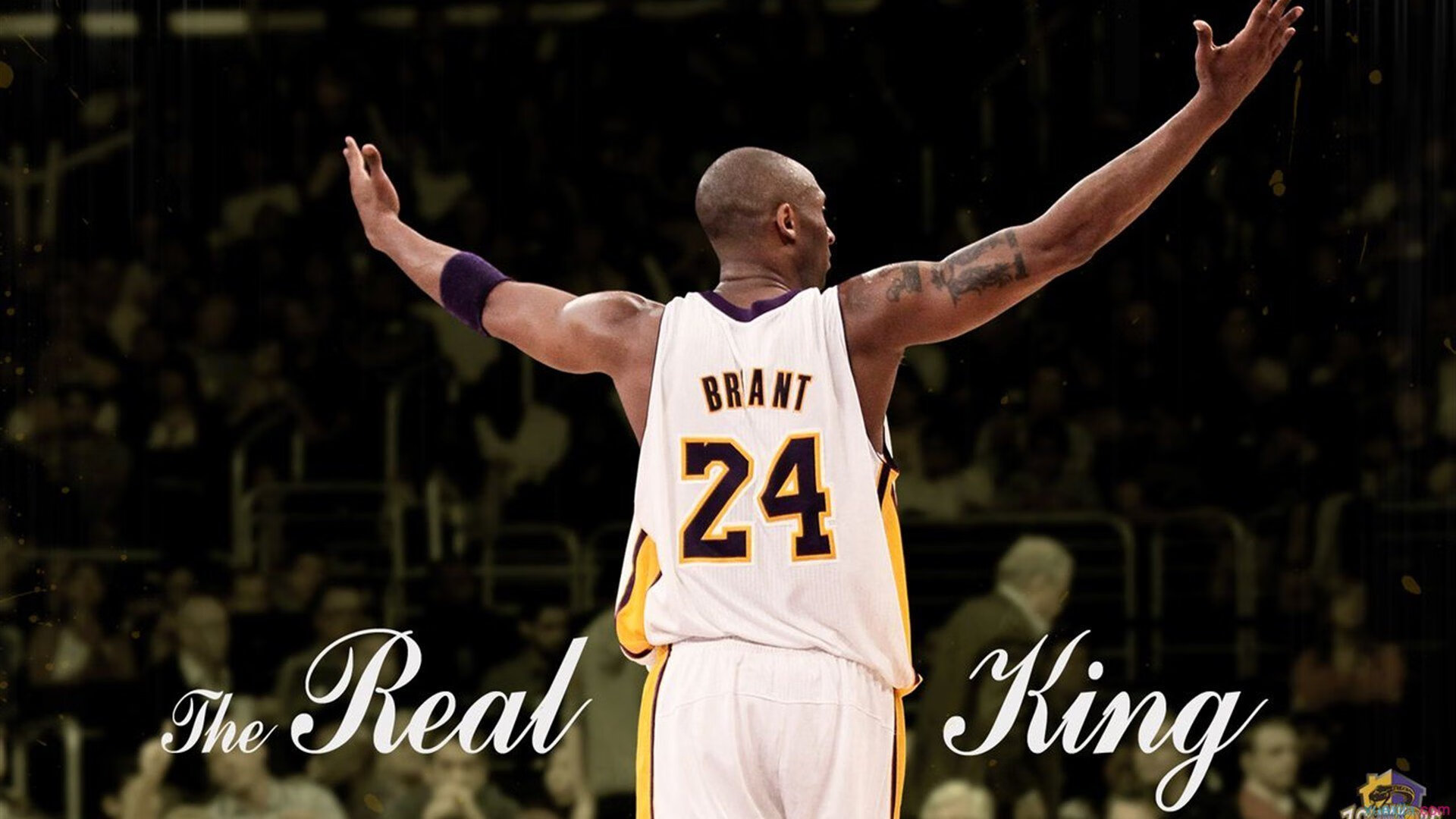 史上最“炸裂”的盖帽集锦,谁的防守最令人震撼?,盖帽属于什么防守技术